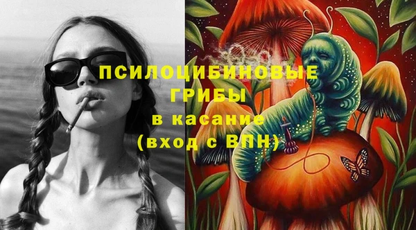 гашик Магадан
