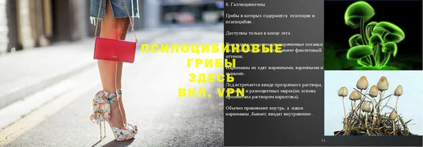 Альфа ПВП Магас