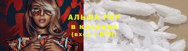 гашик Магадан