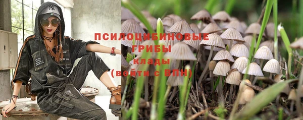 гашик Магадан
