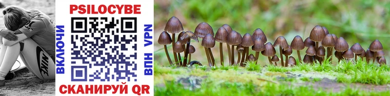 Псилоцибиновые грибы Psilocybine cubensis  купить наркотики цена  Харабали 